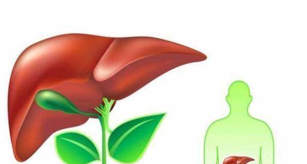 肝脏|这几种食物被称为“强肝王”，医生提醒：春季养肝正当时，要多吃