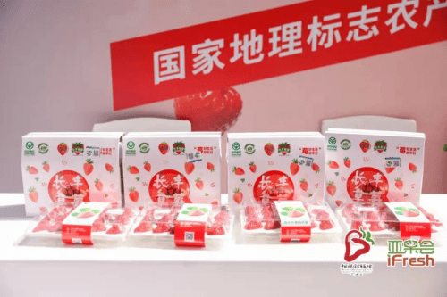 栽培设施栽培面积达21万亩，长丰草莓香溢四海