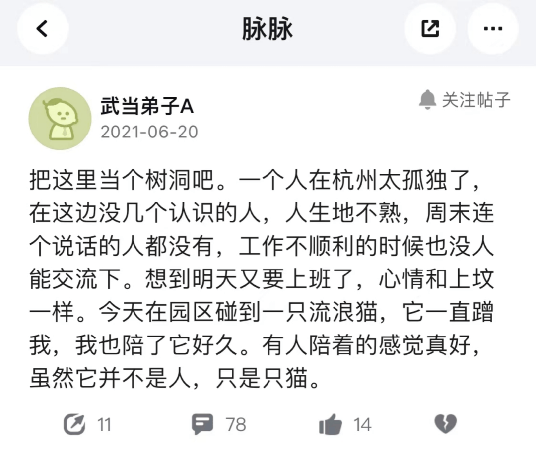 一线卸下滤镜，一线城市打工人实录