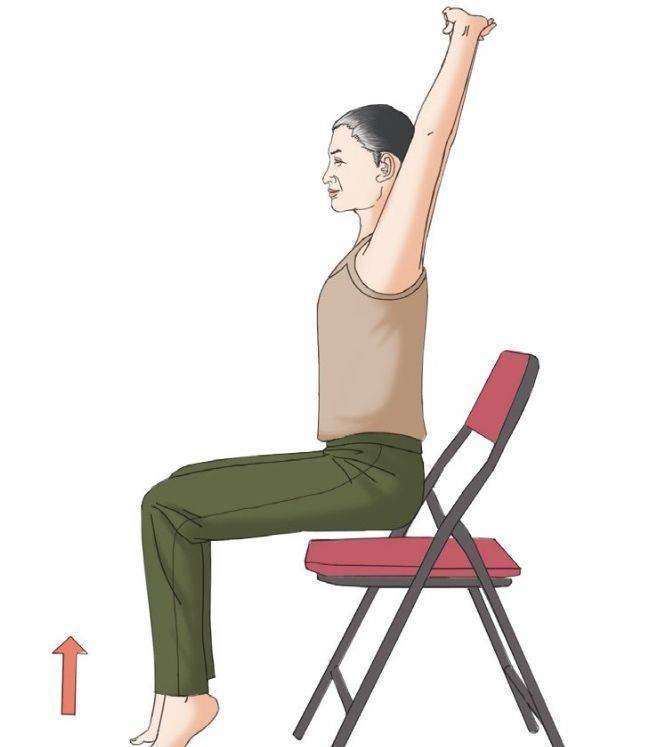 老年人的脊骨养护拉伸_运动_脊柱_腹部