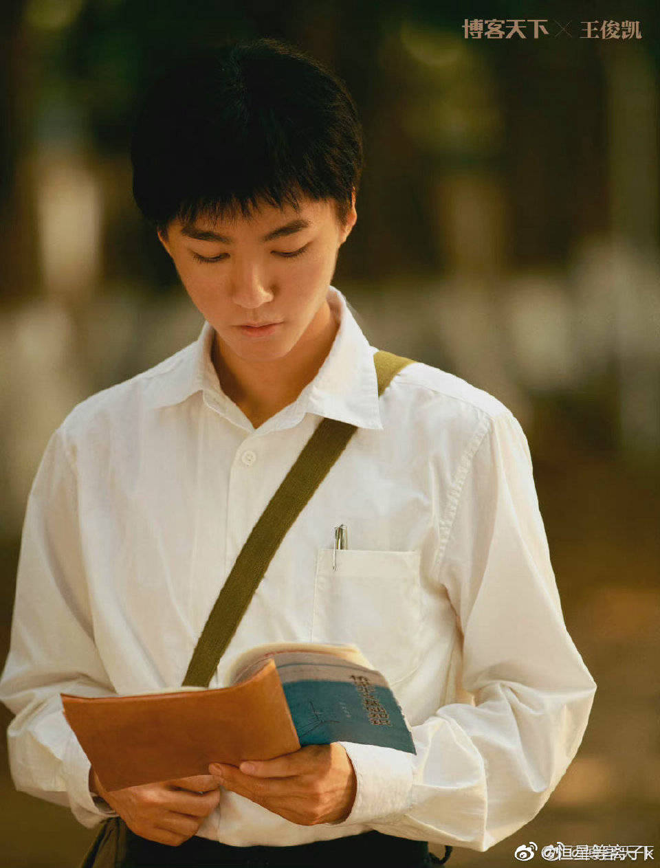 成功|王俊凯——敬畏表演，“小角色”也有大作为