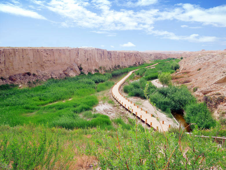 不负好春光宁夏水洞沟