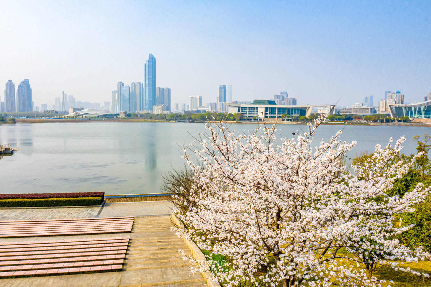 一座不缺水的城市究竟有多少公园？打卡月湖：“武汉市最美客厅”