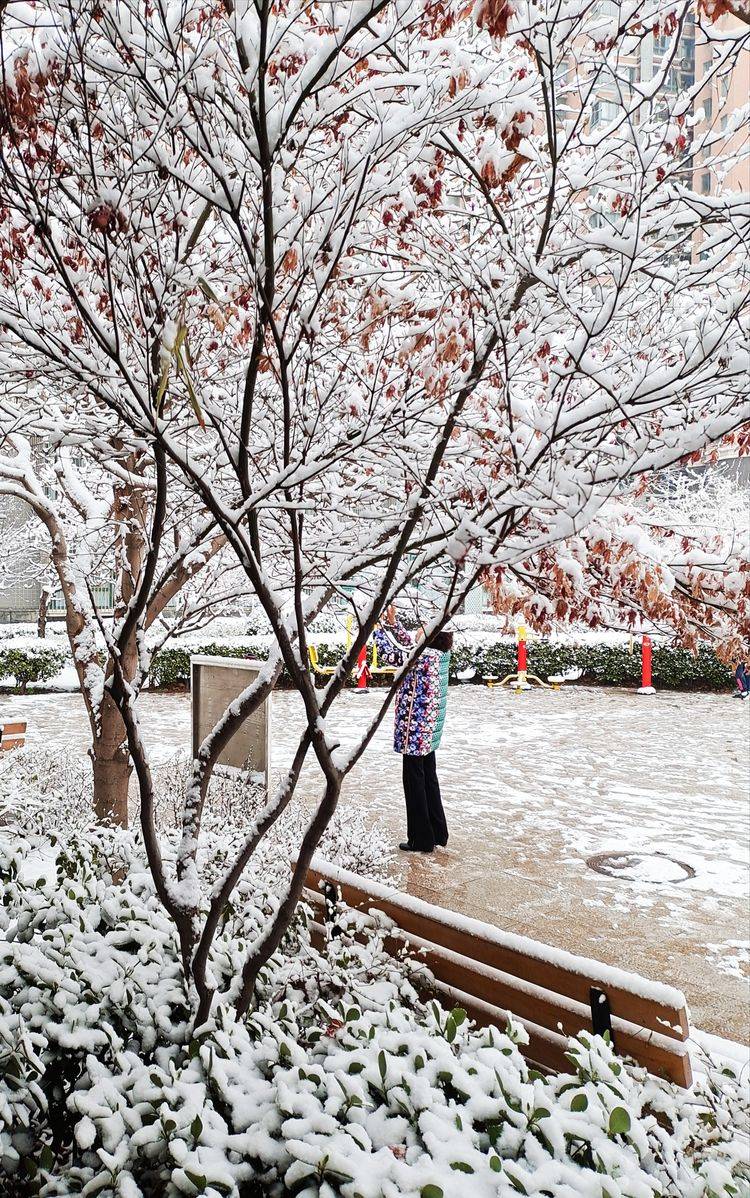 下集|一场雪，让这里的春天真美