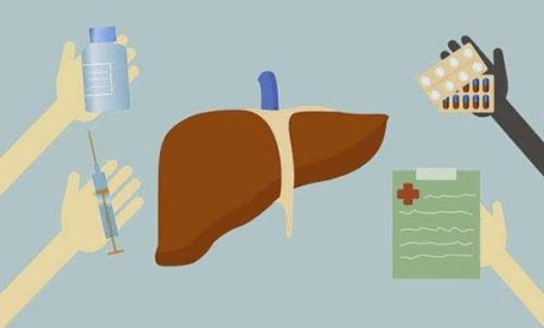 肝脏|全国护肝日：如何爱护我们的肝脏