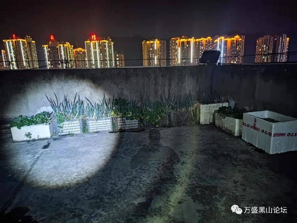 「太虎了」你种菜有可能造成我屋顶漏水