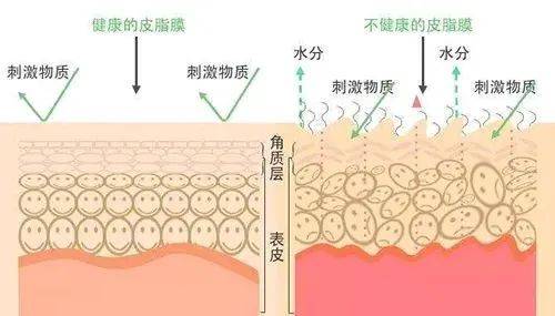 产品补水保湿每天都在做，为什么肌肤越来越干？