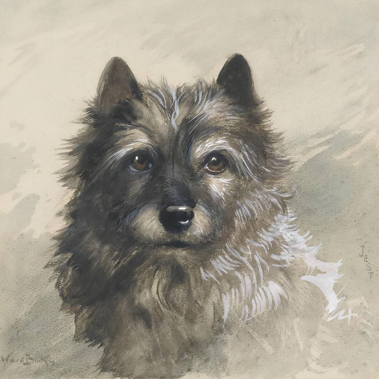 艺术家笔下的写实油画宠物狗100幅_狗狗_写实_油画