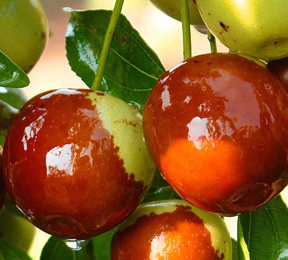 买点|建议子女：别舍不得花钱，这5款小零食，常给爸妈买点，气色好！