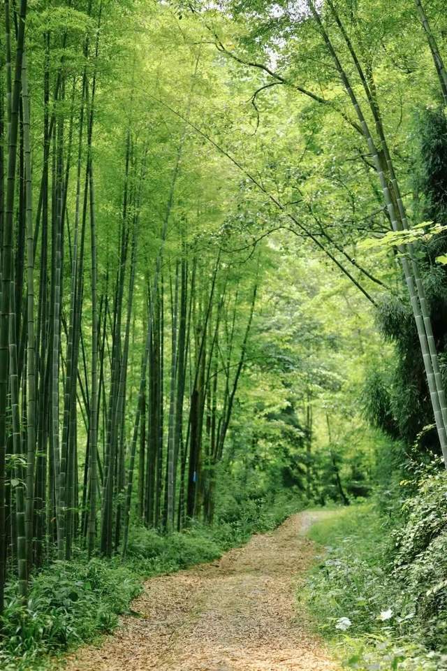 柒月麓山有一个浪漫的名字叫做柒月麓山