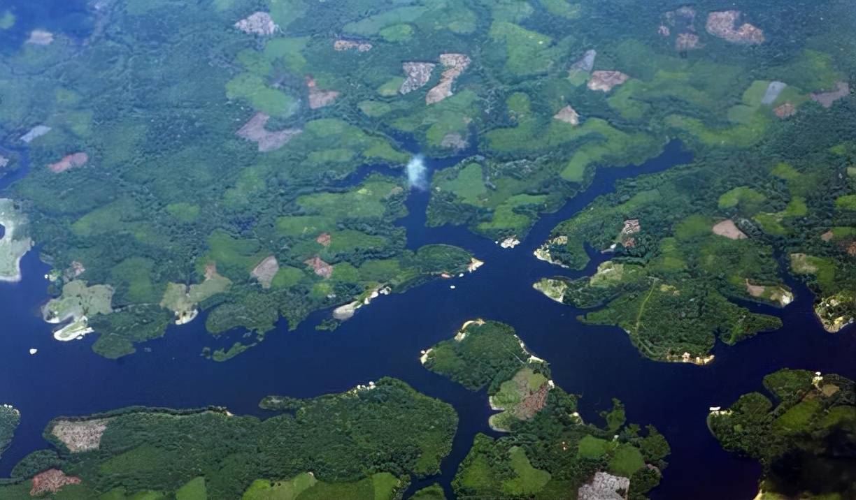 河水中有哪些恐怖生物?_亞馬孫河_河流_支流