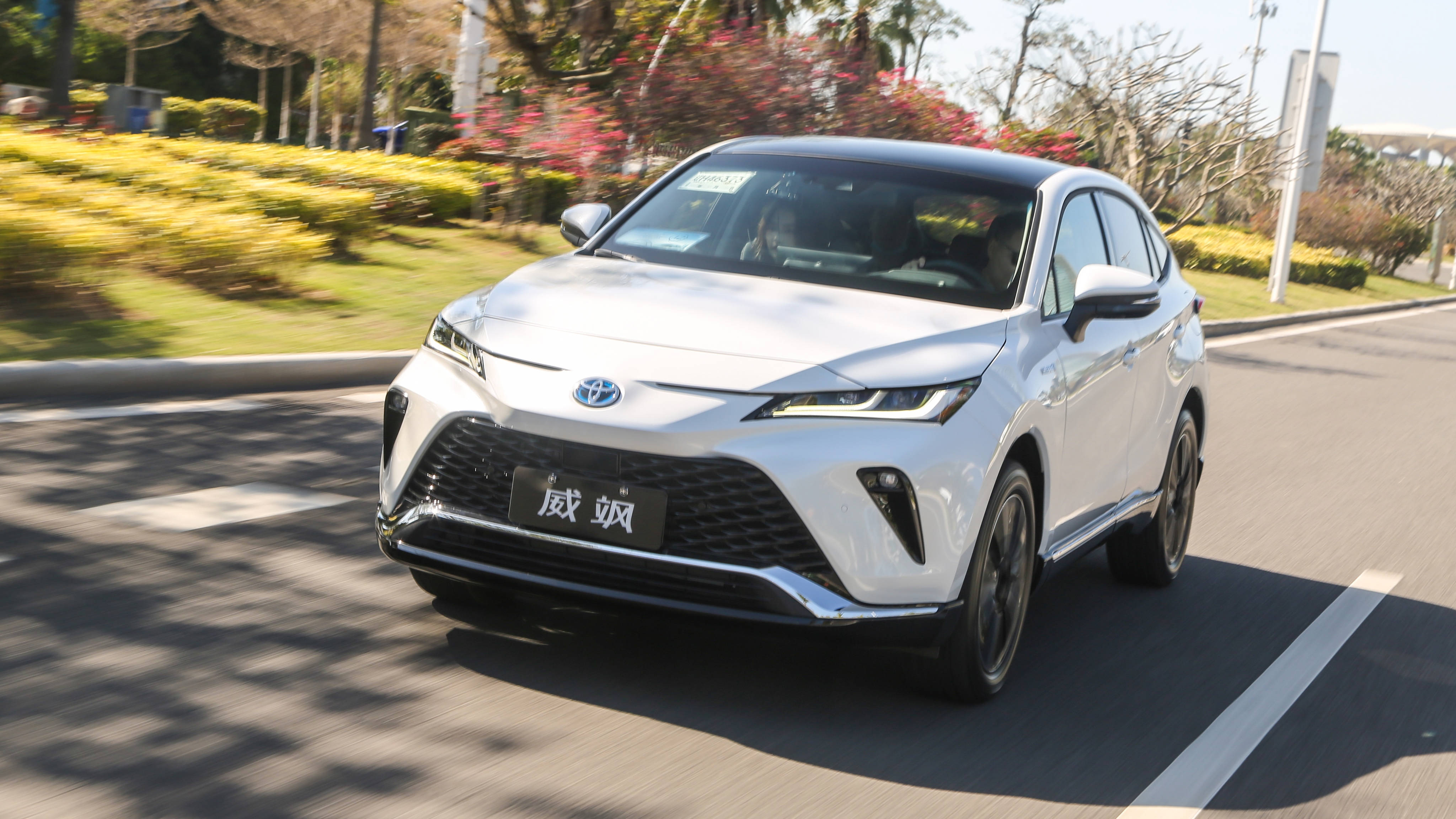 油价飙升想整辆混动广汽丰田威飒了解一下