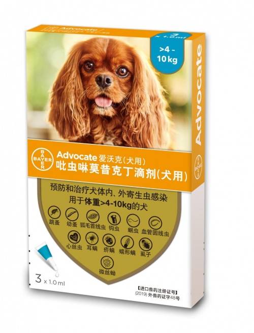 狗狗驱虫怎么做？这些寄生虫就用它