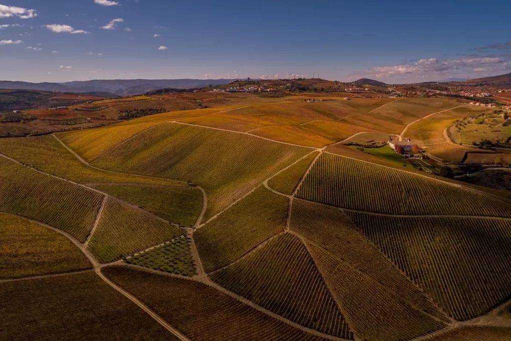 皇家|【28th Interwine】葡萄牙皇家酒庄熙德古堡庄园