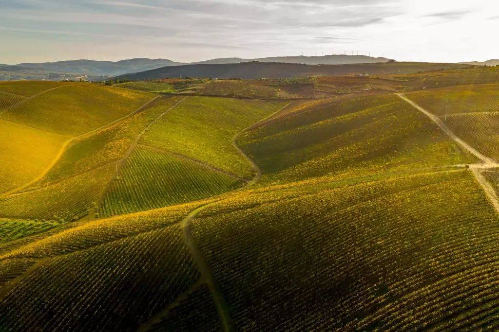 皇家|【28th Interwine】葡萄牙皇家酒庄熙德古堡庄园