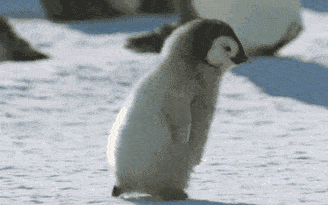 大象老虎屁屁摸不得，但ta的可以，不过不能贪摸哦！