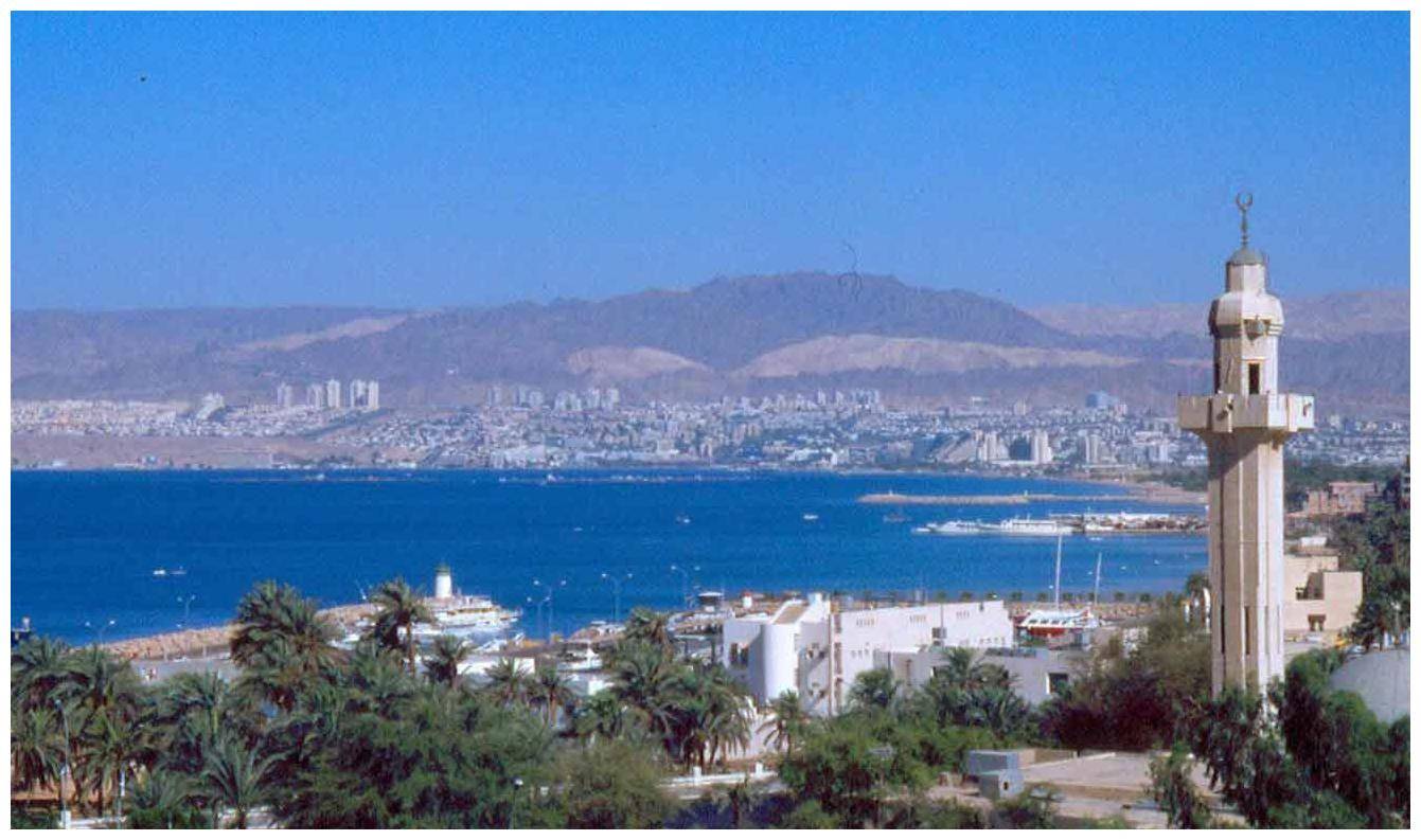 中东一小国没有石油天然气,他们做了什么,日子过的比沙特还好_出海口