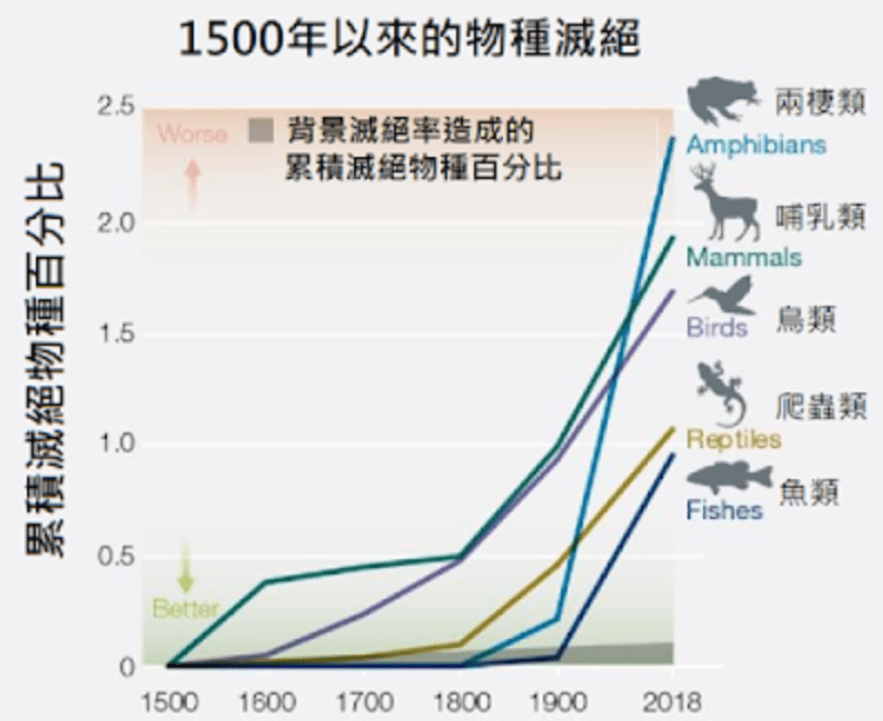 象龟_费尔南迪纳_加拉帕戈斯
