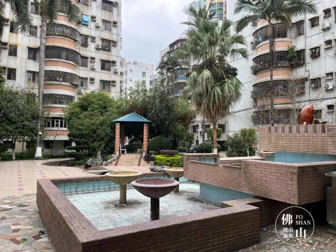 千灯湖旁,27年海景花园要改造!业主异议:绿化砍一半?_小区_楼市_佛山