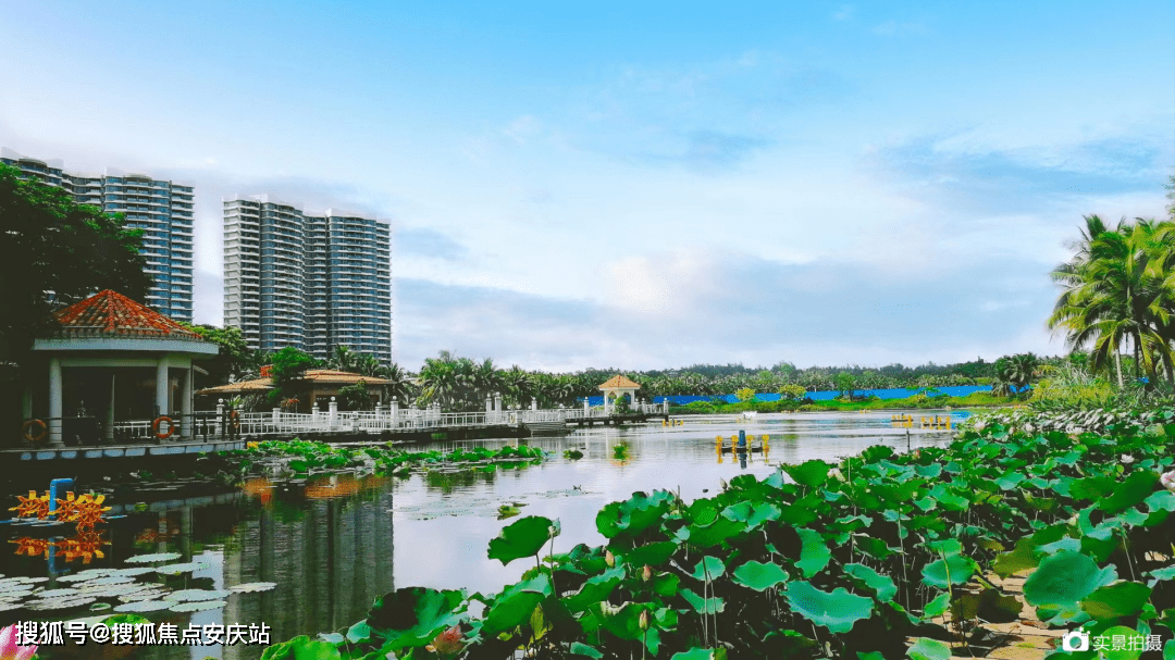 海南博鰲碧桂園寶蓮城g棟售樓處電話丨地址價格售樓中心24小時電話