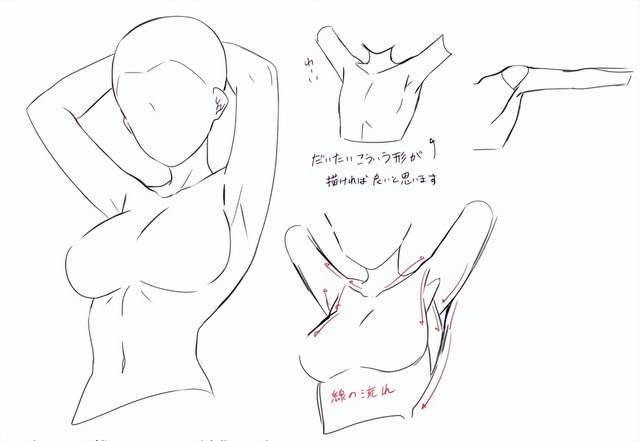 动漫腋窝腋下怎么画?二次元腋下肌肉画法教程!