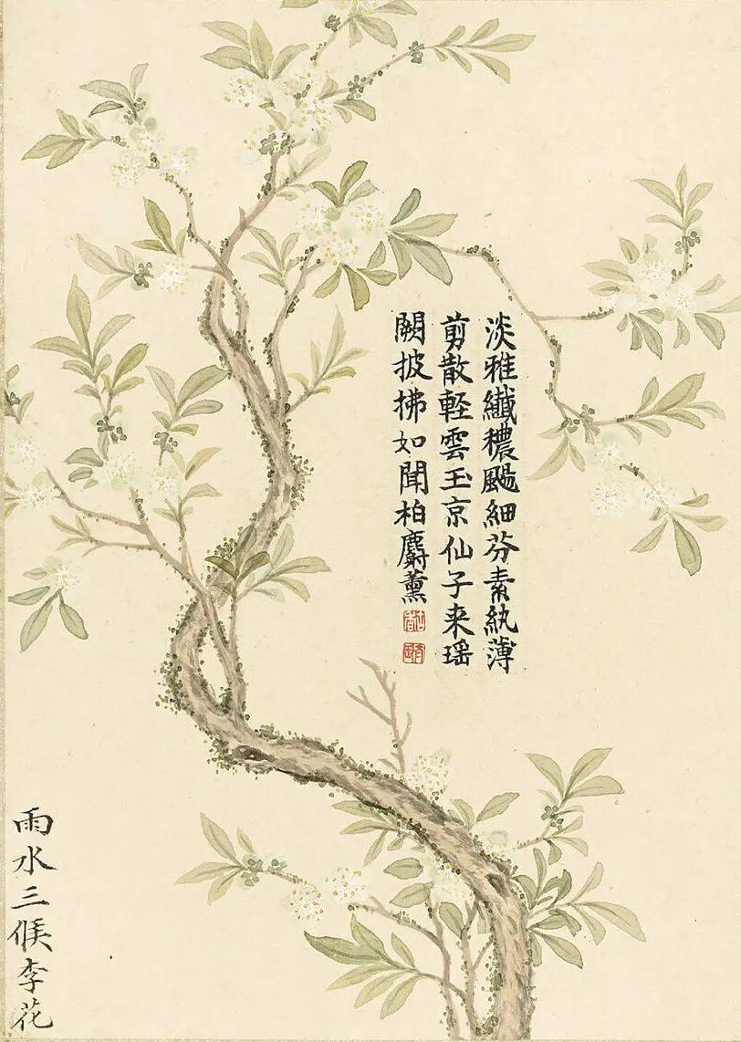 董诰二十四番花信风图