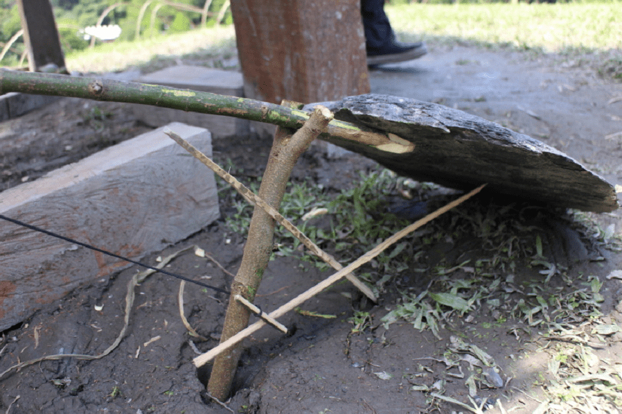 书里不仅有寻找食物和水源的方法,还有制造各种工具和捕猎动物的技能