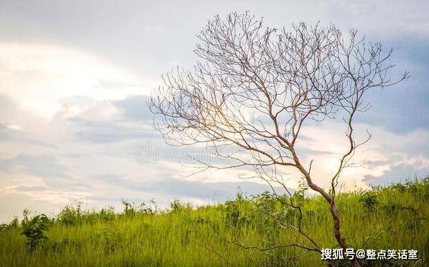 原創白居易寫給元稹的贈詩雖然只有短短的幾句可是讀後耐人尋味