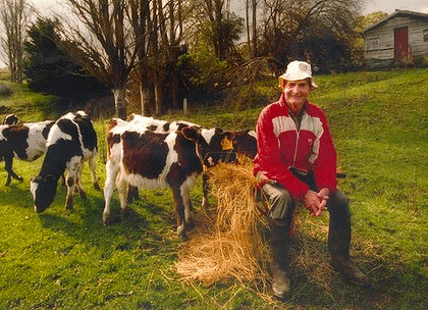 运动员带来启发,他们都纷纷采取了一种以他命名的跑步战略 young