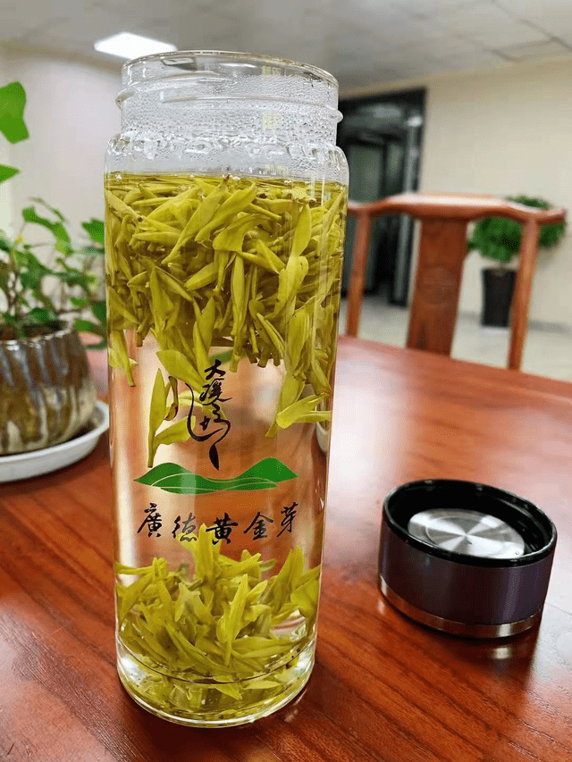 名茶|广德黄金芽是名茶皇冠上一颗璀璨的明珠