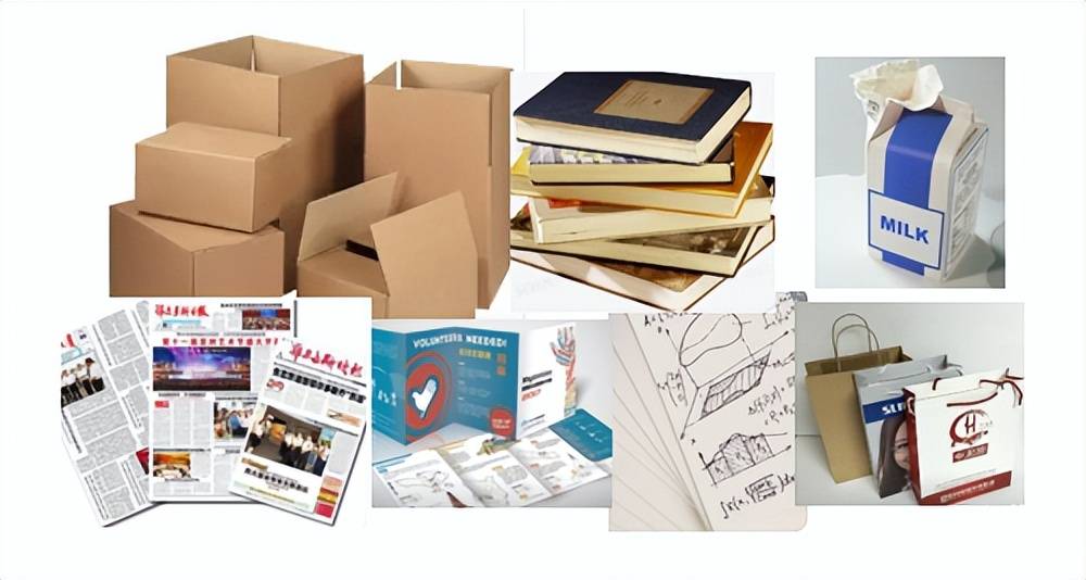 这些纸类竟然不是可回收物分类西游科普小课堂