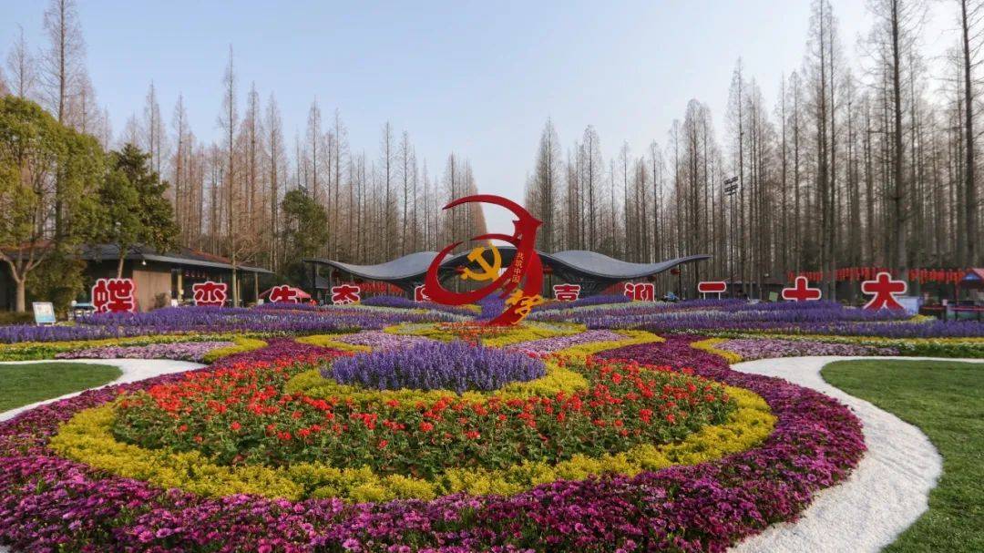 云赏花 跟着镜头一起享受东平国家森林公园的明媚春光 鸟语花香 花园 生活