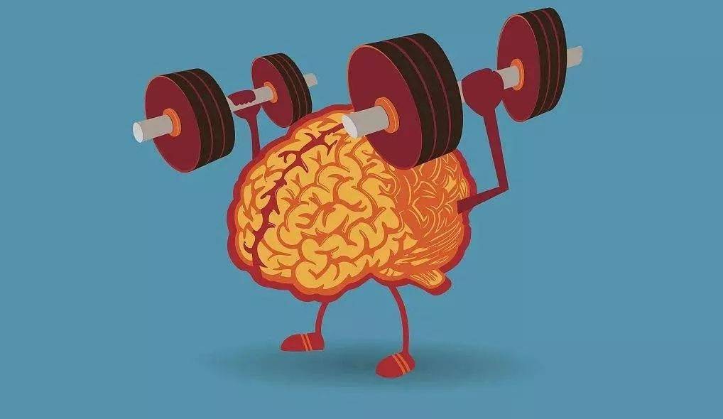 人类学习发展的第四阶段知觉运动的形成