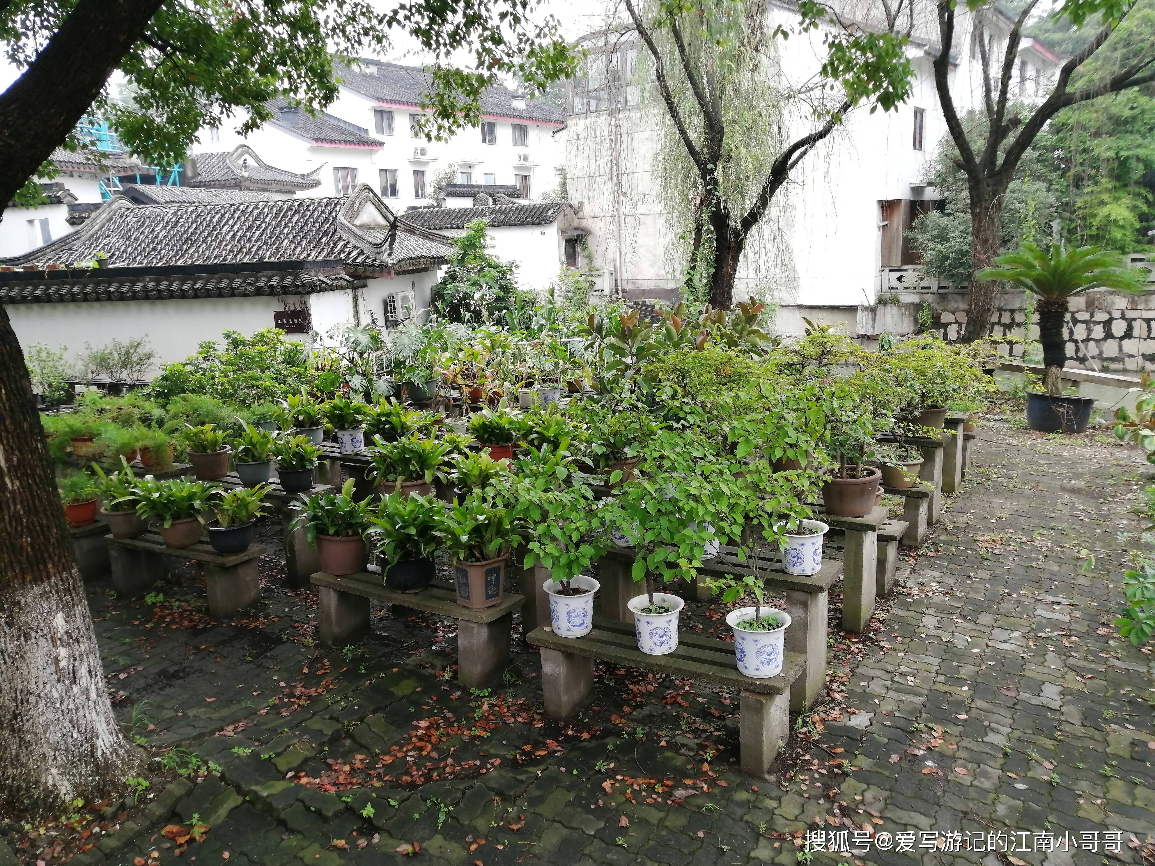 幾乎每個大的公園或者景點,都會有自己的苗圃部門.