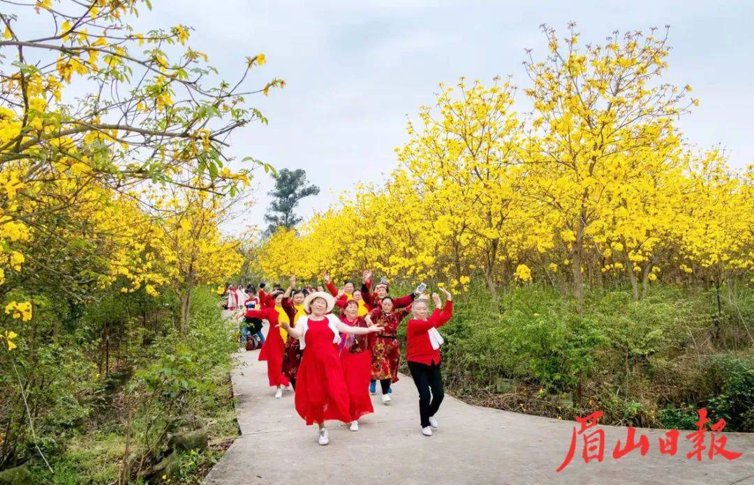 眉山多悦华藏寺图片