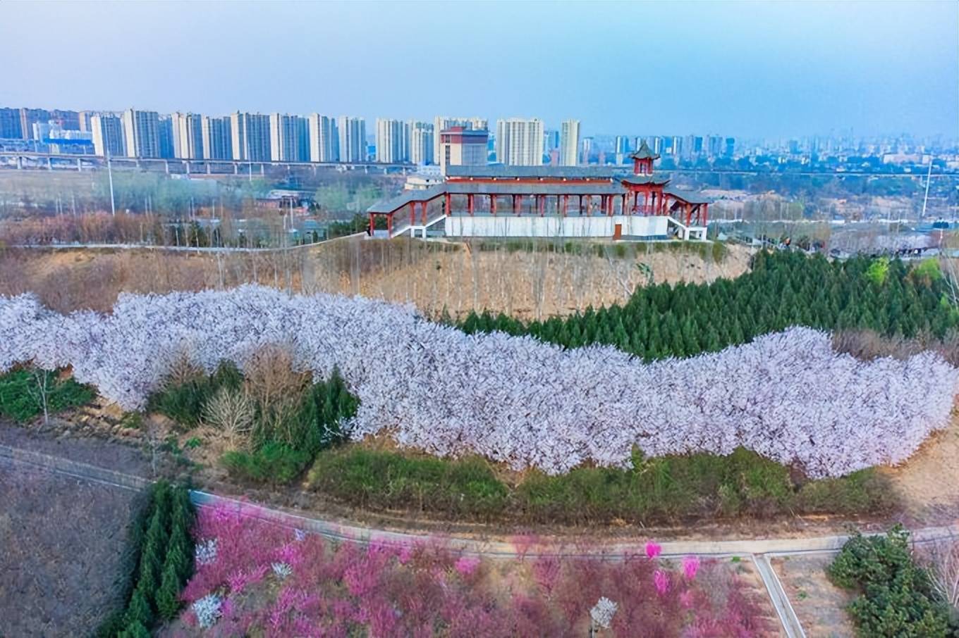 万木争|石家庄有一座翠屏湿地公园，风景秀丽免门票，是踏青赏花的好去处