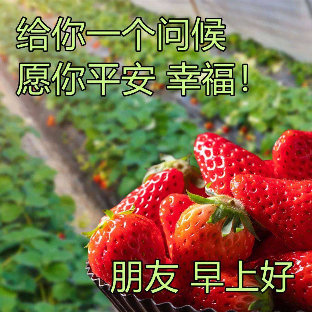 原创真挚的早安祝福文字图片深深的早上好问候美图