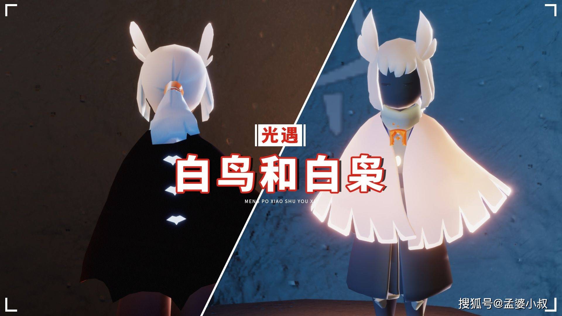 光遇白鸟和白枭这样称呼最合理官方公布设计原型