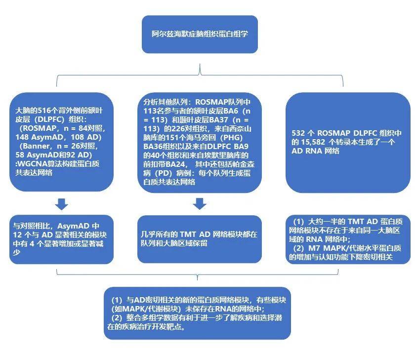 應用基因組,轉錄組,蛋白質組與代謝組學技術可進一步研究ad的發病機制