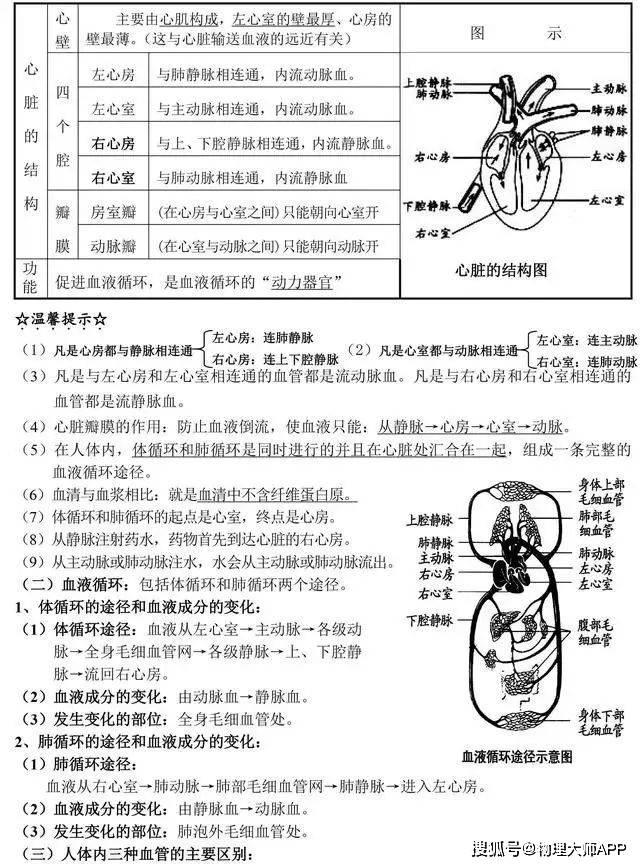 初中生物生殖系统男女(初中生物生殖系统结构和功能)-第1张图片-鲸幼网