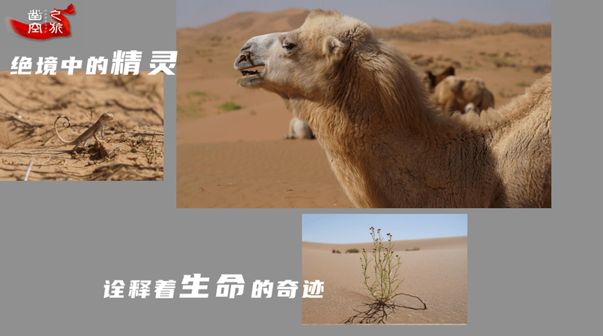 侯歌探索赋能经略凿空之旅打造有感有温度的户外练兵场