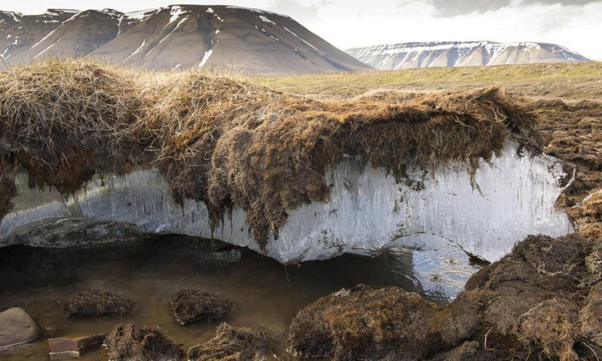 俄罗斯永久冻土层图片