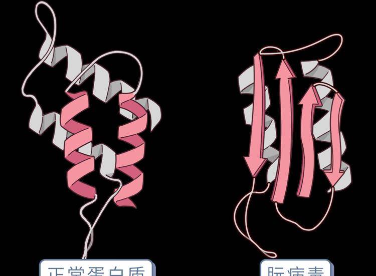 拿疯牛病来举例农场主们为了不浪费剩下的内脏稍微加工后就当作饲料