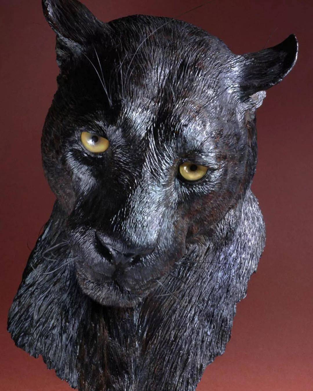 michelevitaloni和他的超写实动物雕塑