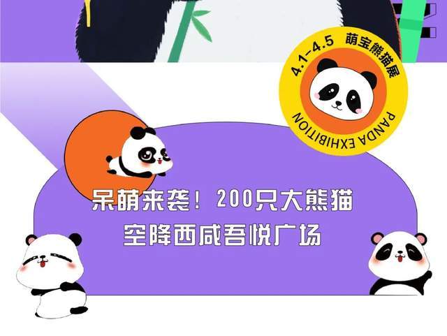 seo平台找大熊猫点搜 来自搜狐网