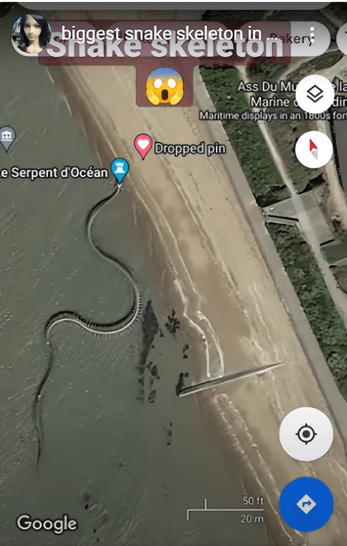 Giant 'Snake Skeleton' On Google Maps Sparks Titanoboa Theories, But