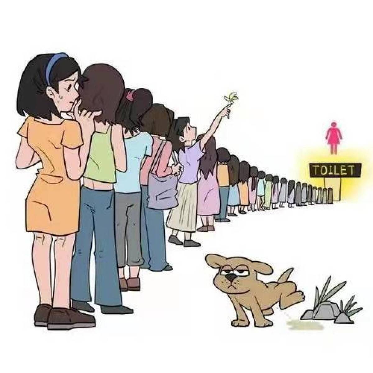 原创未来女厕位或将多于男厕女性为何在外如厕难她们在里面做什么