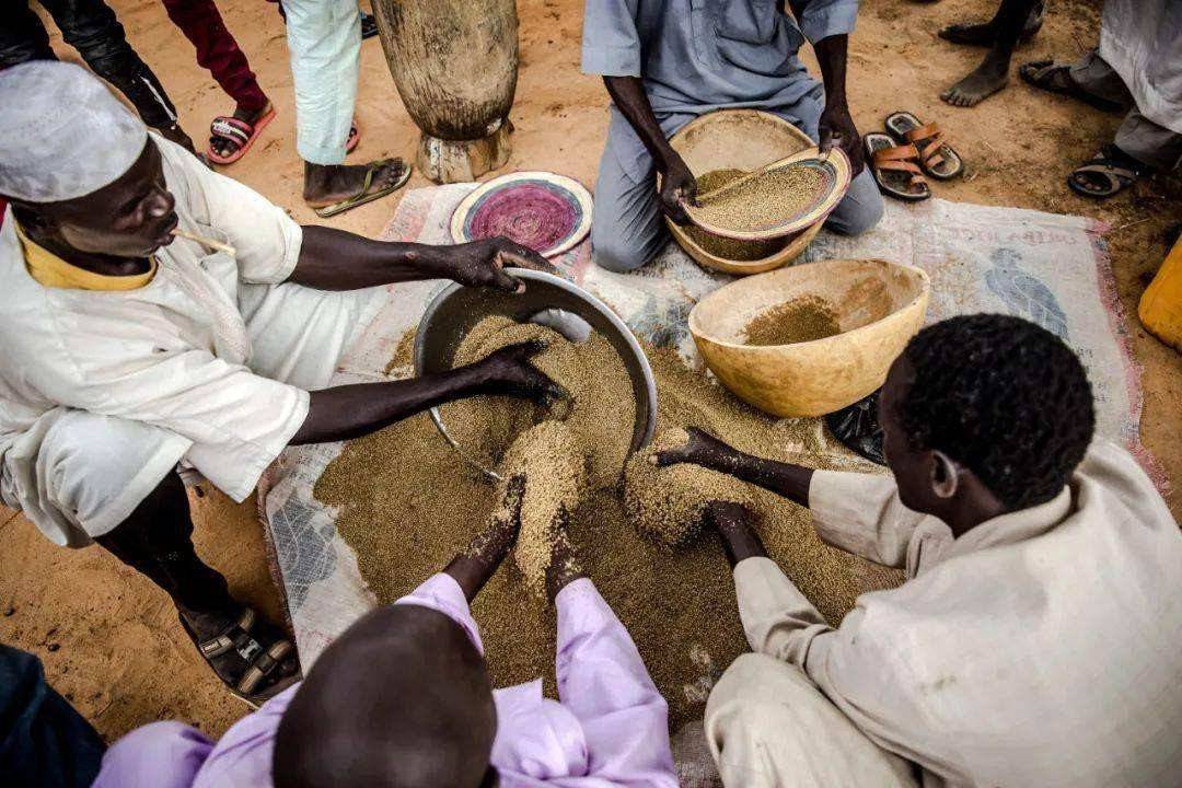 中国还剩多少储备粮?联合国粮食计划署:世界粮食市场即将动荡