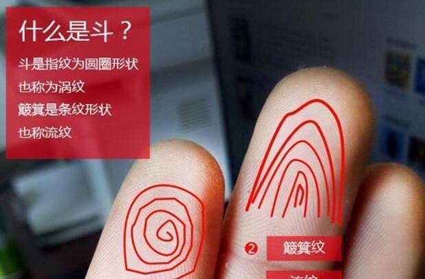 指纹_古人_簸箕