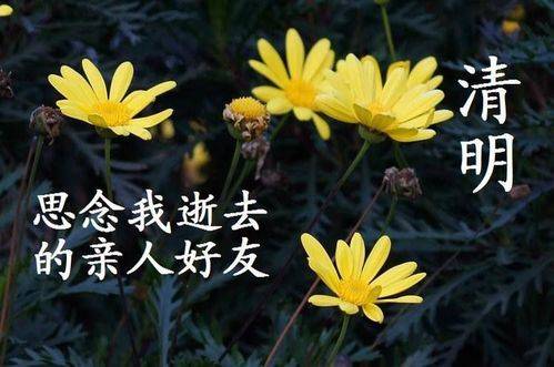 丹凤张杰‖随笔【清明】_代代传_亲人_商洛山